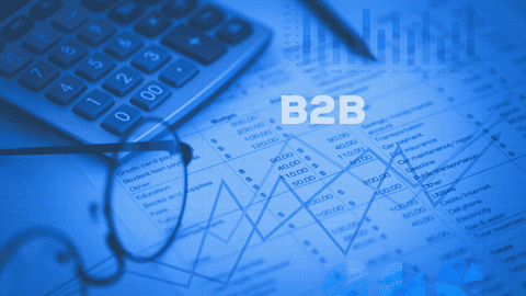 B2B-Daten-Audit