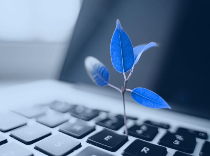 Presse-Bilder-BeastBI (1)-Jan-18-2026-12-20-46-2452-PM