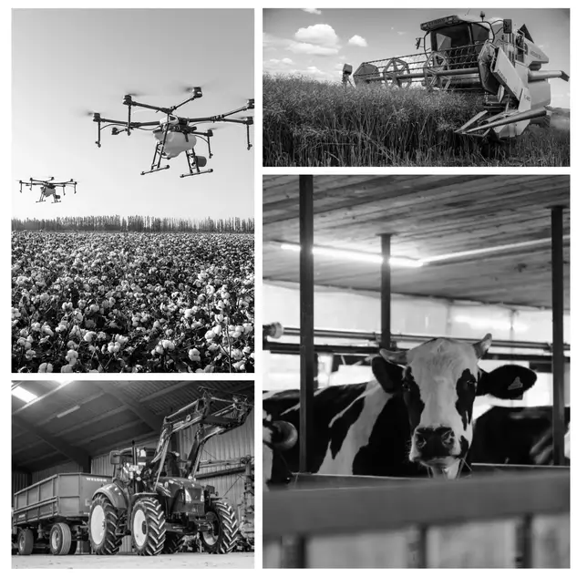 Top 5 Software Anwendungen für den Bereich Landwirtschaft auf einen Blick